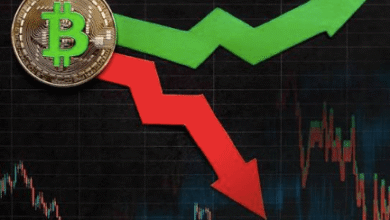 Understanding Deep and Shallow Markets